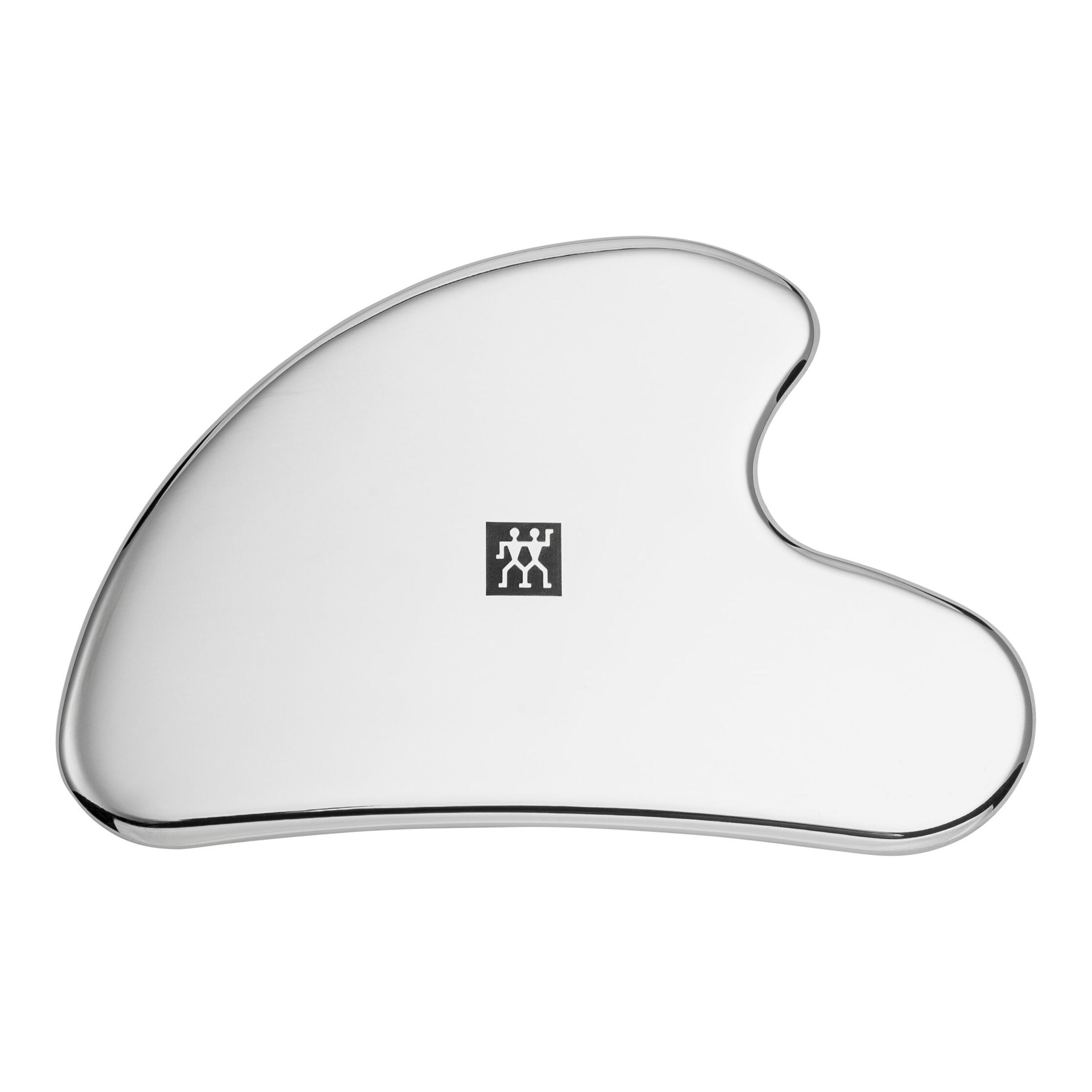 Stainless Steel Facial Massage Tool, Stainless steel | silver