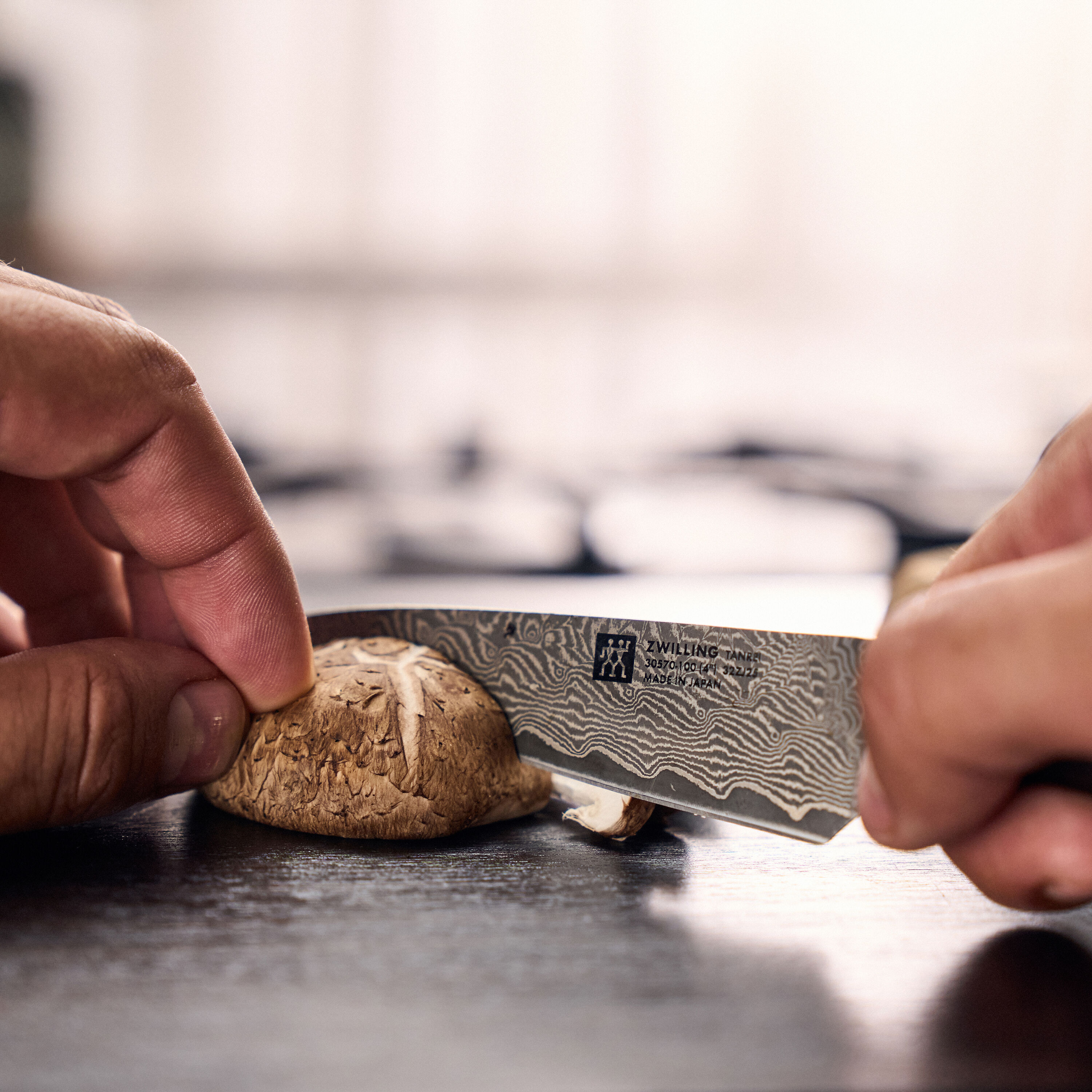 10 cm Paring knife